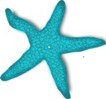 starfish